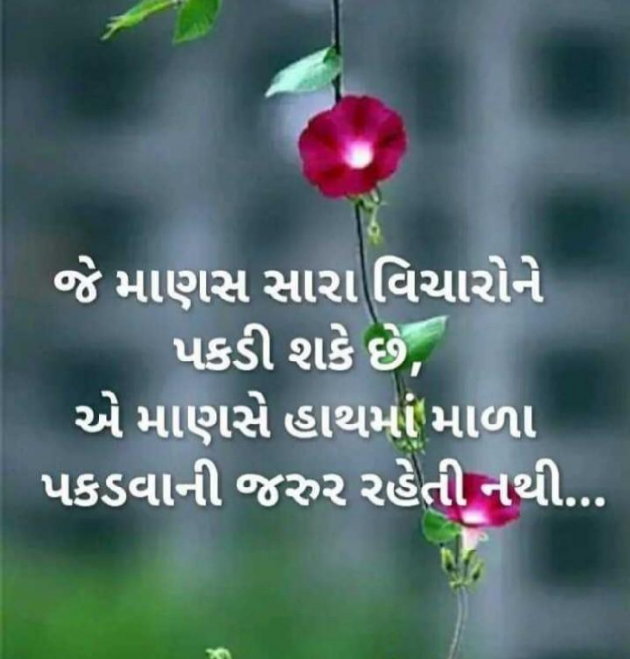 Gujarati Blog by Prem_222 : 111536071