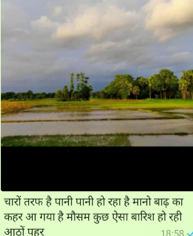 Hindi Thought by Vipin Prajapati ‍️‍️‍️‍️‍️‍ : 111536459