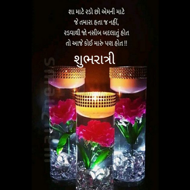 Gujarati Good Night by Het Bhatt Mahek : 111536616