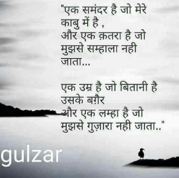 Hindi Motivational by Nadeem Patel : 111536782
