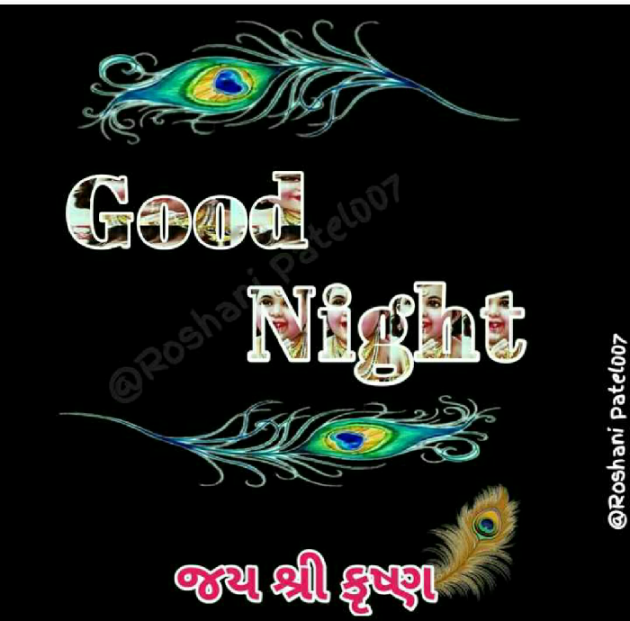 Gujarati Good Night by Sonal : 111537568