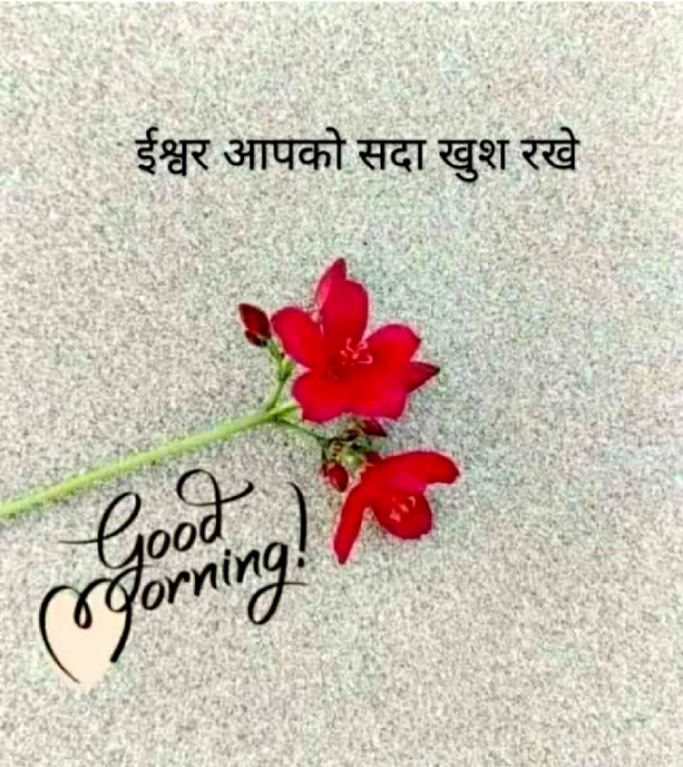 Gujarati Thought by રોનક જોષી. રાહગીર : 111537817