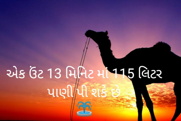 Gujarati Motivational by Prakash Ahir : 111538020