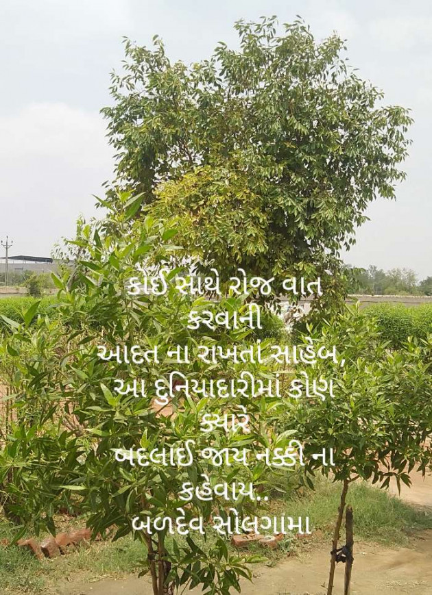 Gujarati Motivational by Baldev Solgama : 111538026