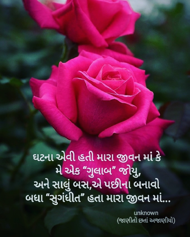 Gujarati Romance by Parimal Patel : 111538228