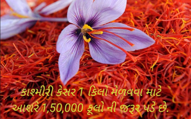 Gujarati Motivational by Prakash Ahir : 111538334