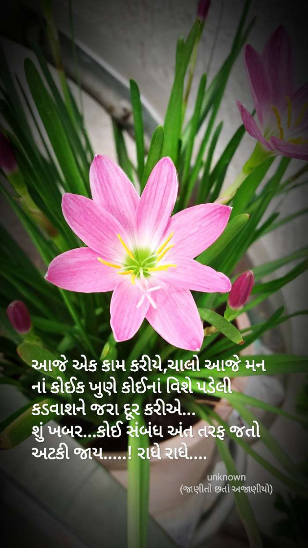 Gujarati Quotes by Parimal Patel : 111538400