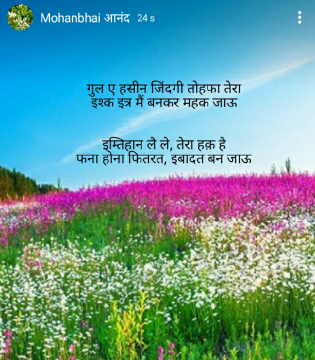 Hindi Motivational by મોહનભાઈ આનંદ : 111538544