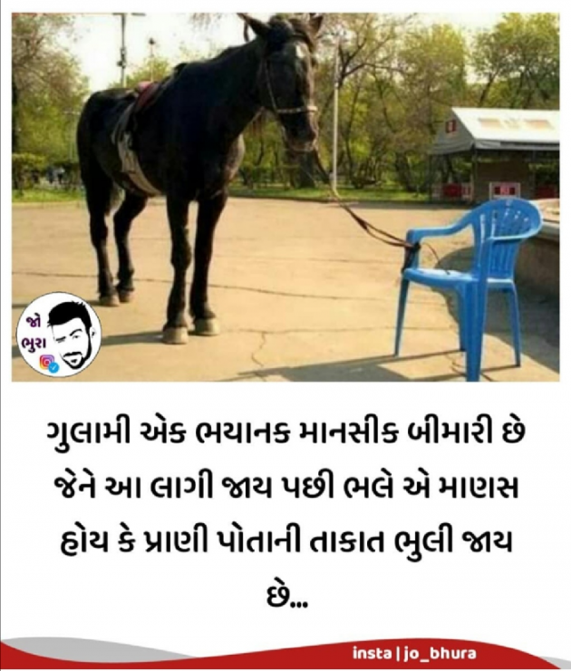 Gujarati Motivational by Red Eagle : 111538551