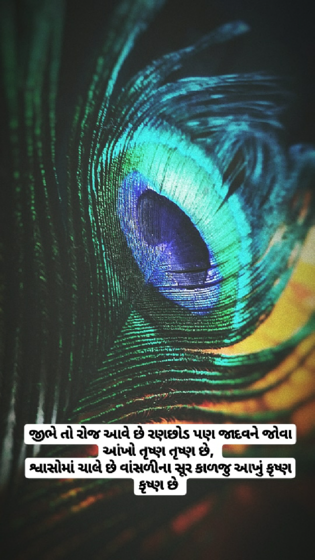 Gujarati Shayri by A K : 111539118