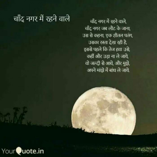 Hindi Shayri by Sheetal : 111539212