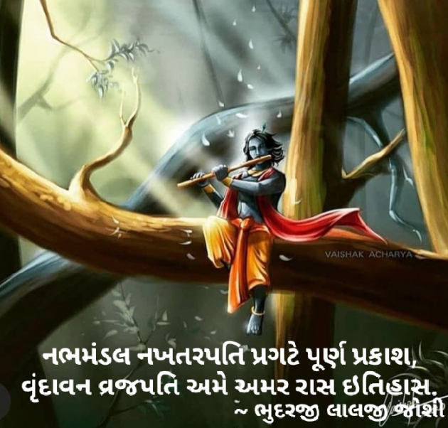 Gujarati Blog by Apurva Oza : 111539304