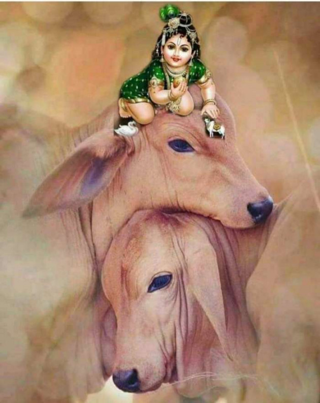 Gujarati Religious by Meena Parmar : 111539430