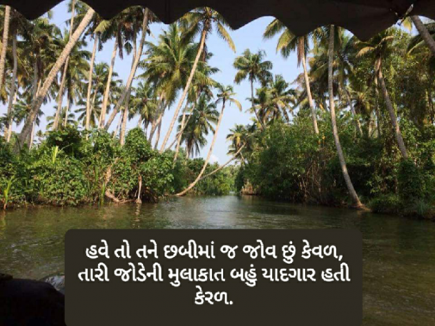 Gujarati Shayri by Purvi Trivedi : 111539443