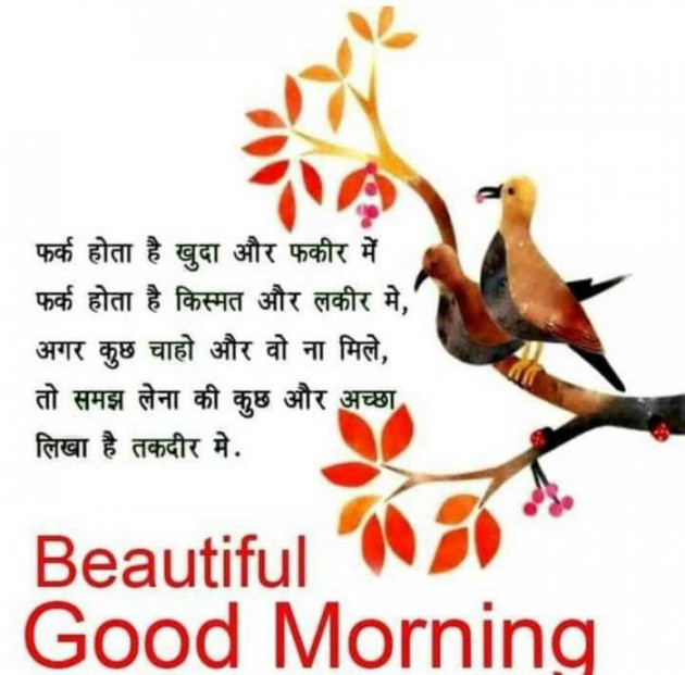 English Good Morning by Shekhar : 111540025