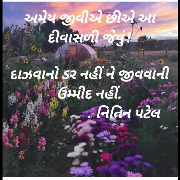 Gujarati Blog by Nitin S Patel : 111540938