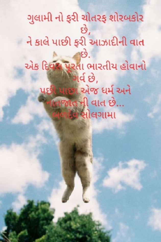 Gujarati Motivational by Baldev Solgama : 111542121