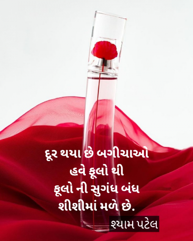 Gujarati Shayri by Shyam Patel : 111542390