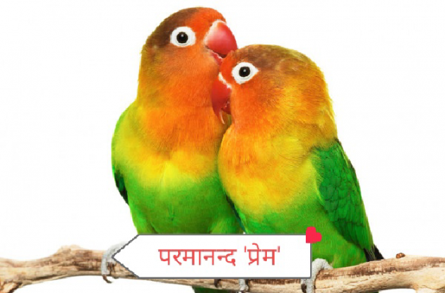 Hindi Poem by Prem Nhr : 111542553