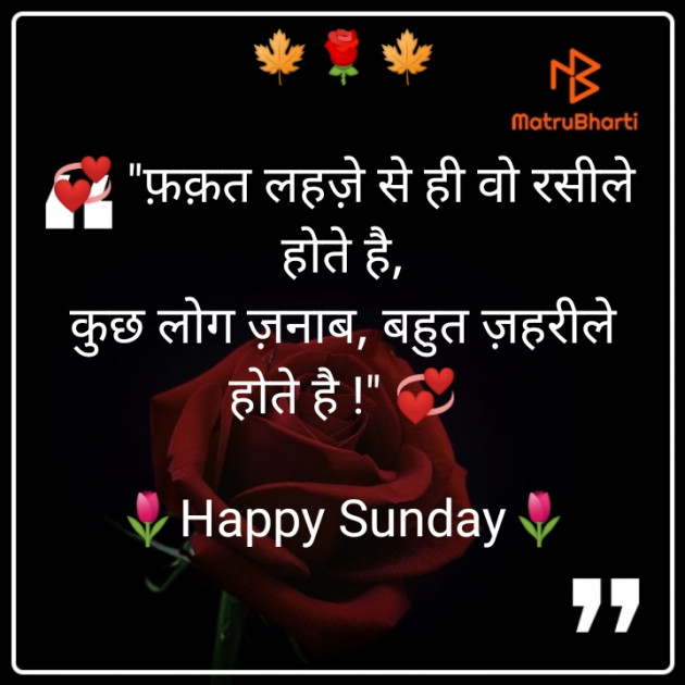Hindi Thought by Nikhil : 111542947