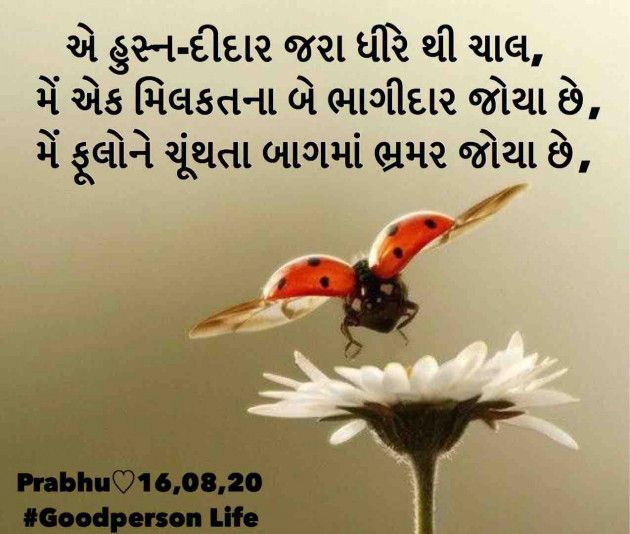 Gujarati Blog by પ્રભુ : 111543455