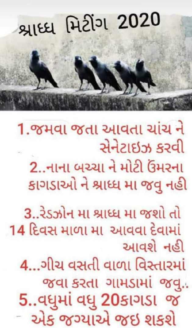 Gujarati Funny by Chetan Tanna : 111543674