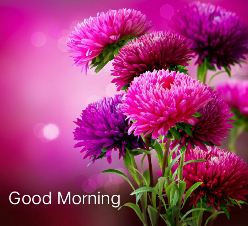 Post by Swaranjali on 18-Aug-2020 09:24am