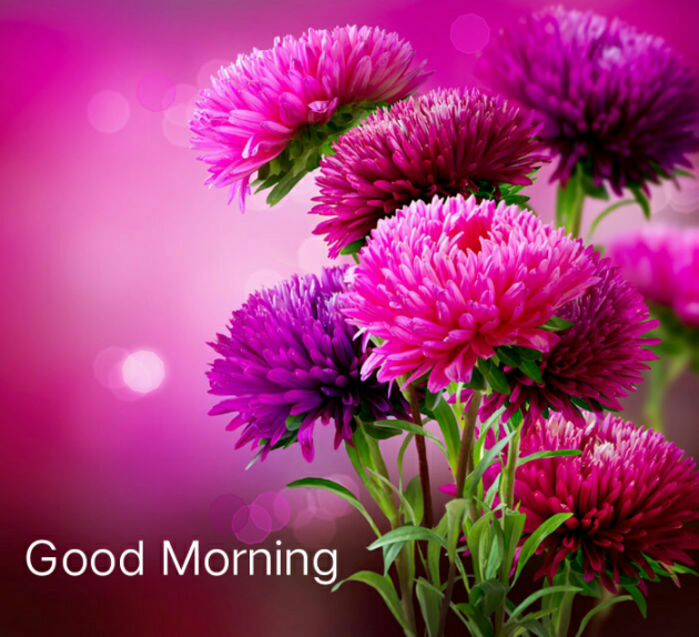 Hindi Thought by Swaranjali : 111544741