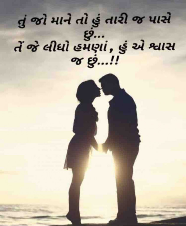 English Shayri by paresh patel : 111544764