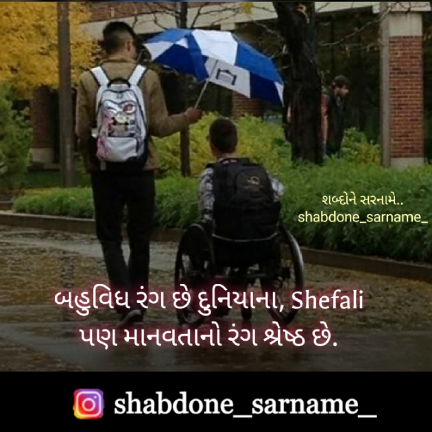 Gujarati Whatsapp-Status by Shefali : 111545529