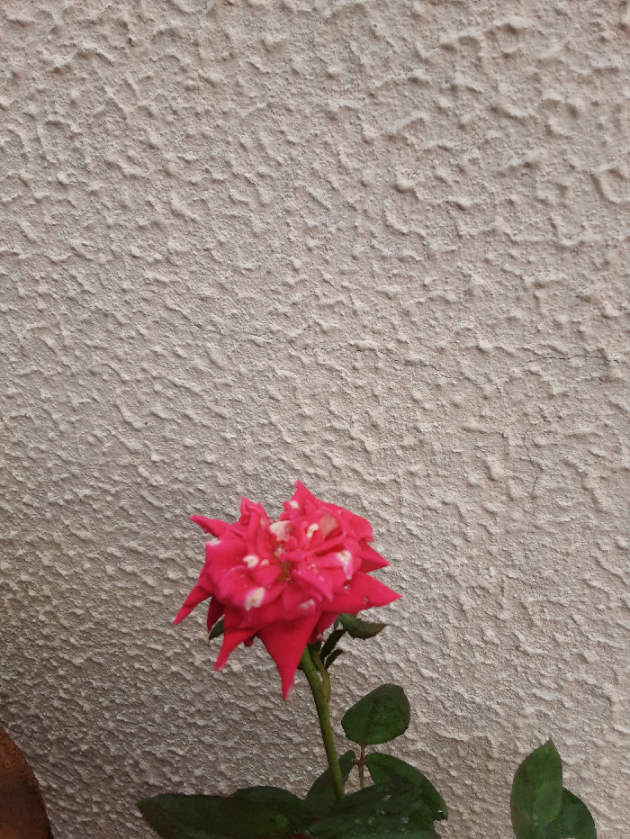 Gujarati Blog by Hetal : 111545818