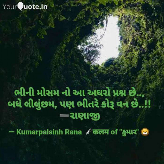 English Shayri by KUMARPALSINH RANA : 111546300