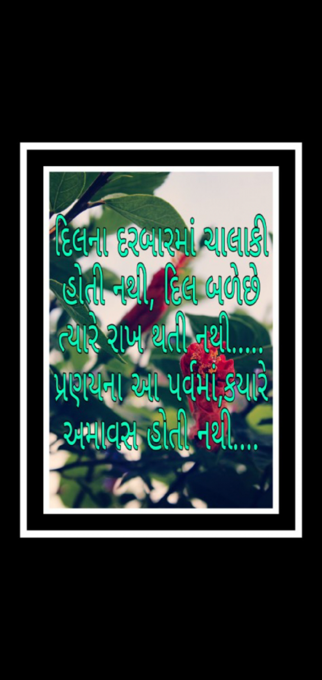 Gujarati Whatsapp-Status by Tr Ajit : 111546336