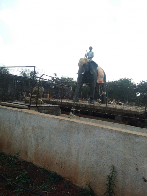 Post by Swaranjali on 20-Aug-2020 07:36am