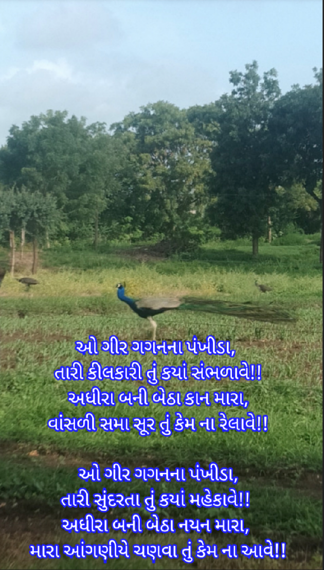 Gujarati Whatsapp-Status by Bhavesh : 111546909