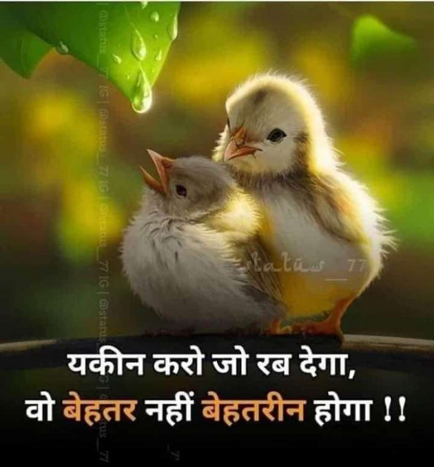 Gujarati Good Evening by Parmar Narvirsinh : 111546921