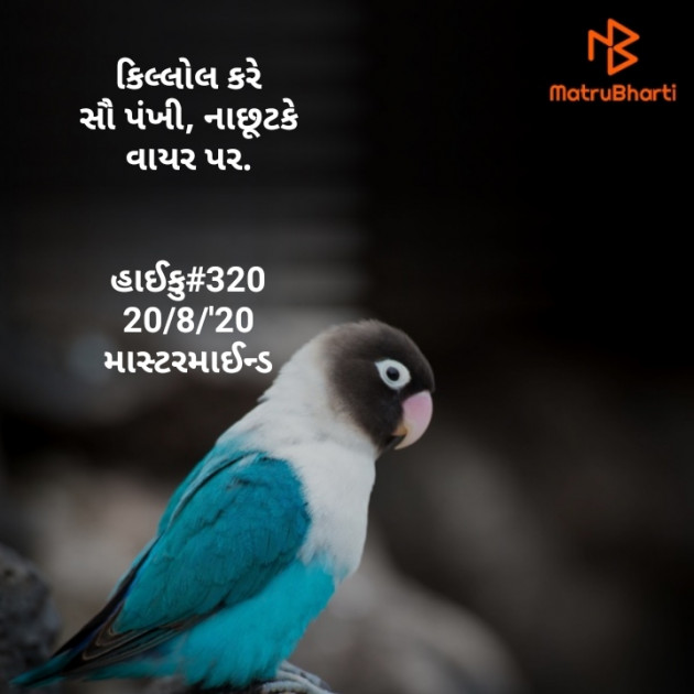 Gujarati Hiku by Mastermind : 111547122