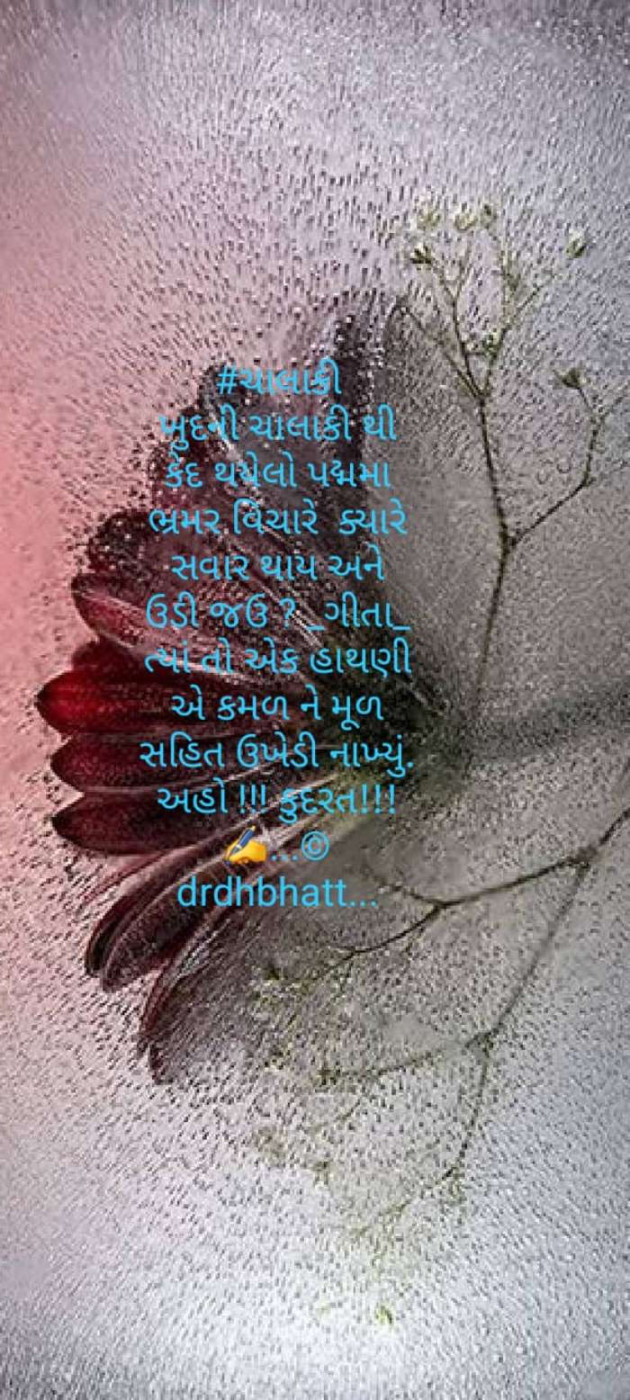 Gujarati Blog by Dr. Damyanti H. Bhatt : 111547173