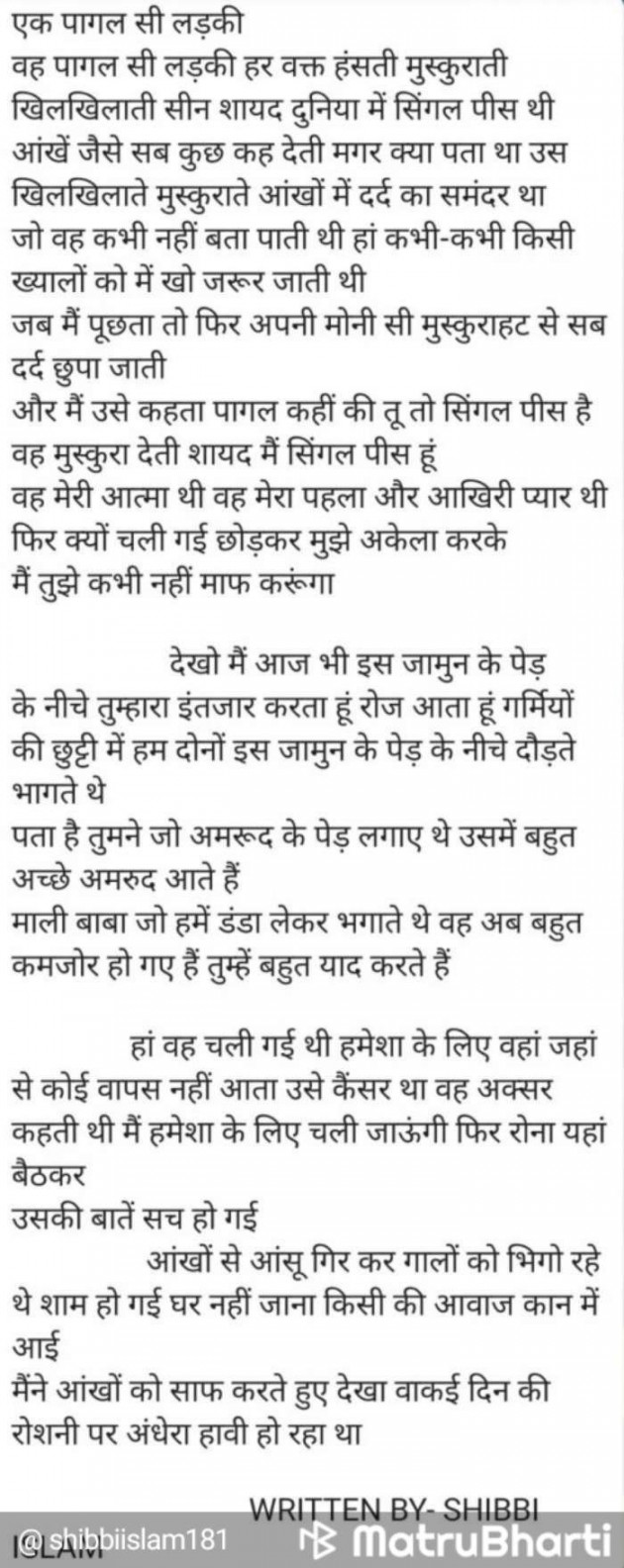 Hindi Story by Shibbi Islam : 111547887