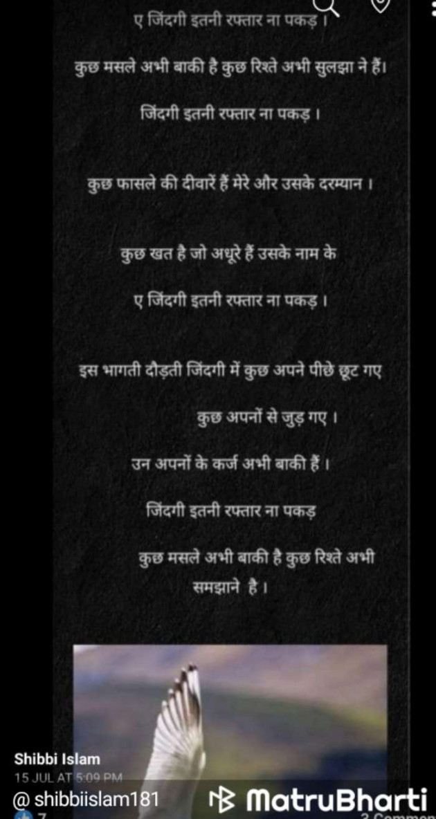 Hindi Poem by Shibbi Islam : 111548161