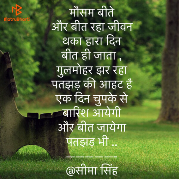 Hindi Poem by seema singh : 111548329