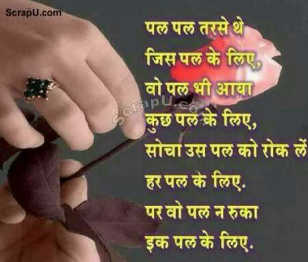 English Shayri by Shekhar : 111548583