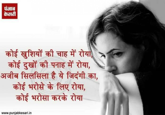 English Shayri by Shekhar : 111548584