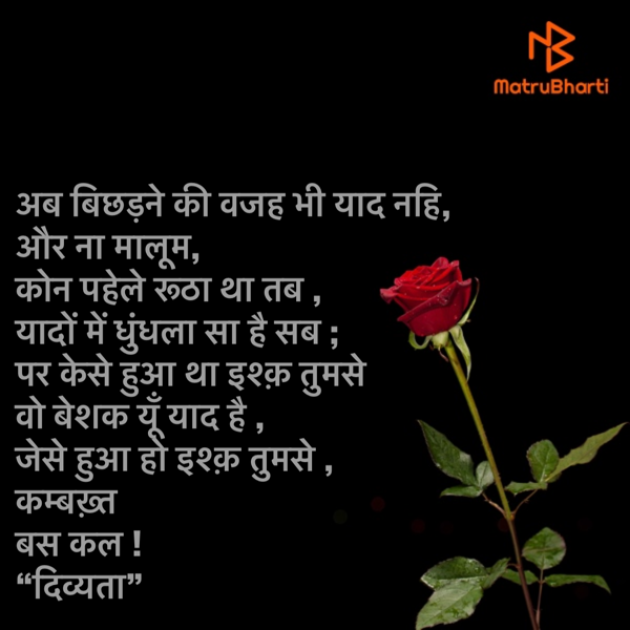 Hindi Shayri by Divya Soni : 111549586