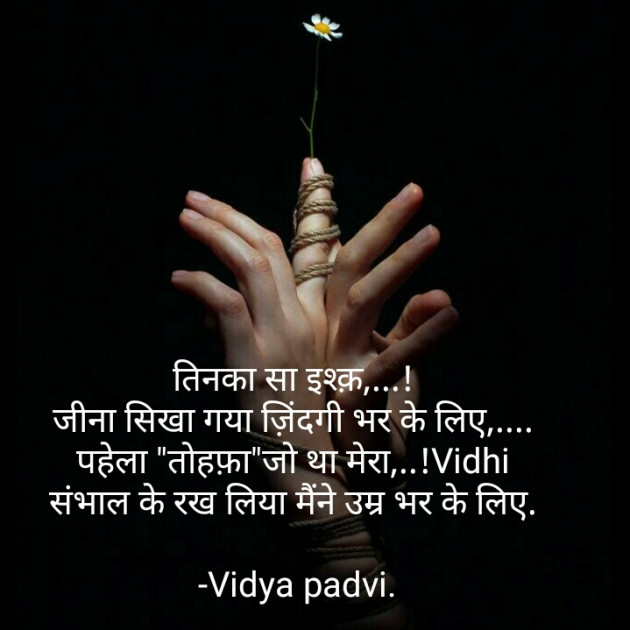 Hindi Blog by Vidya : 111549707