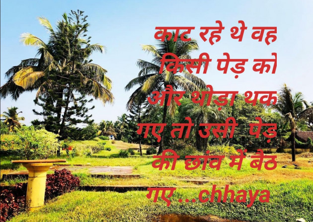 Hindi Thought by CHHAYA YADAV : 111550444