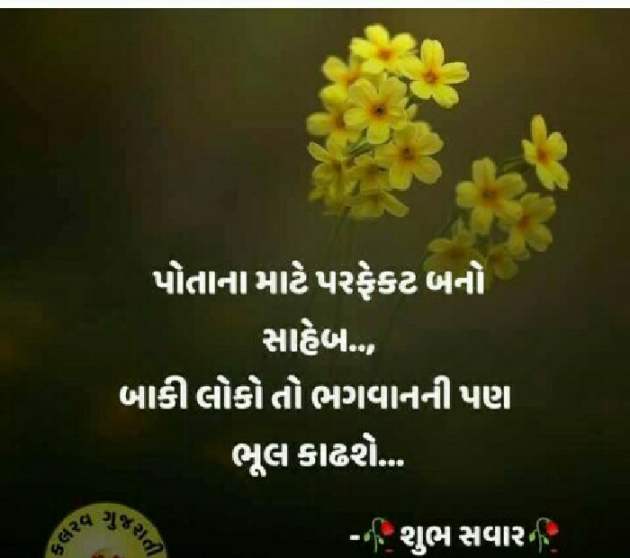 Gujarati Whatsapp-Status by Vyas Kinju : 111552193