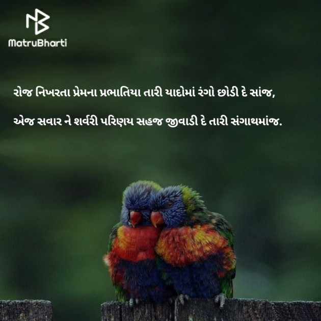 Gujarati Shayri by RUTVIK N PATEL : 111552835