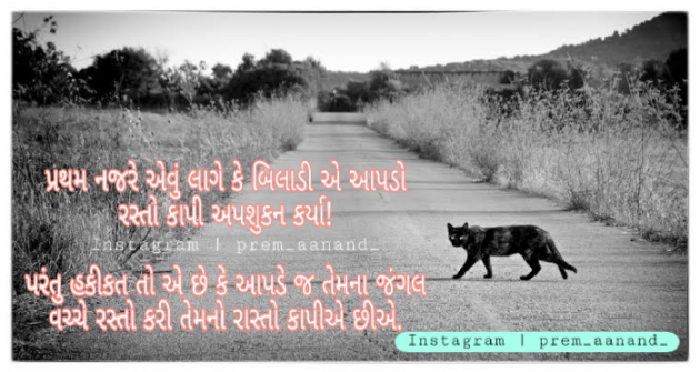 Gujarati Blog by Pramod Solanki : 111553435