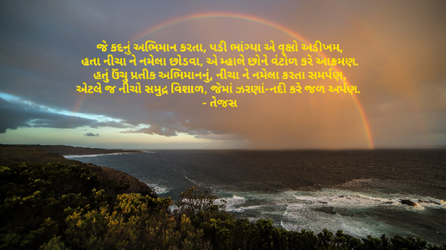 Gujarati Shayri by તેજસ : 111553820